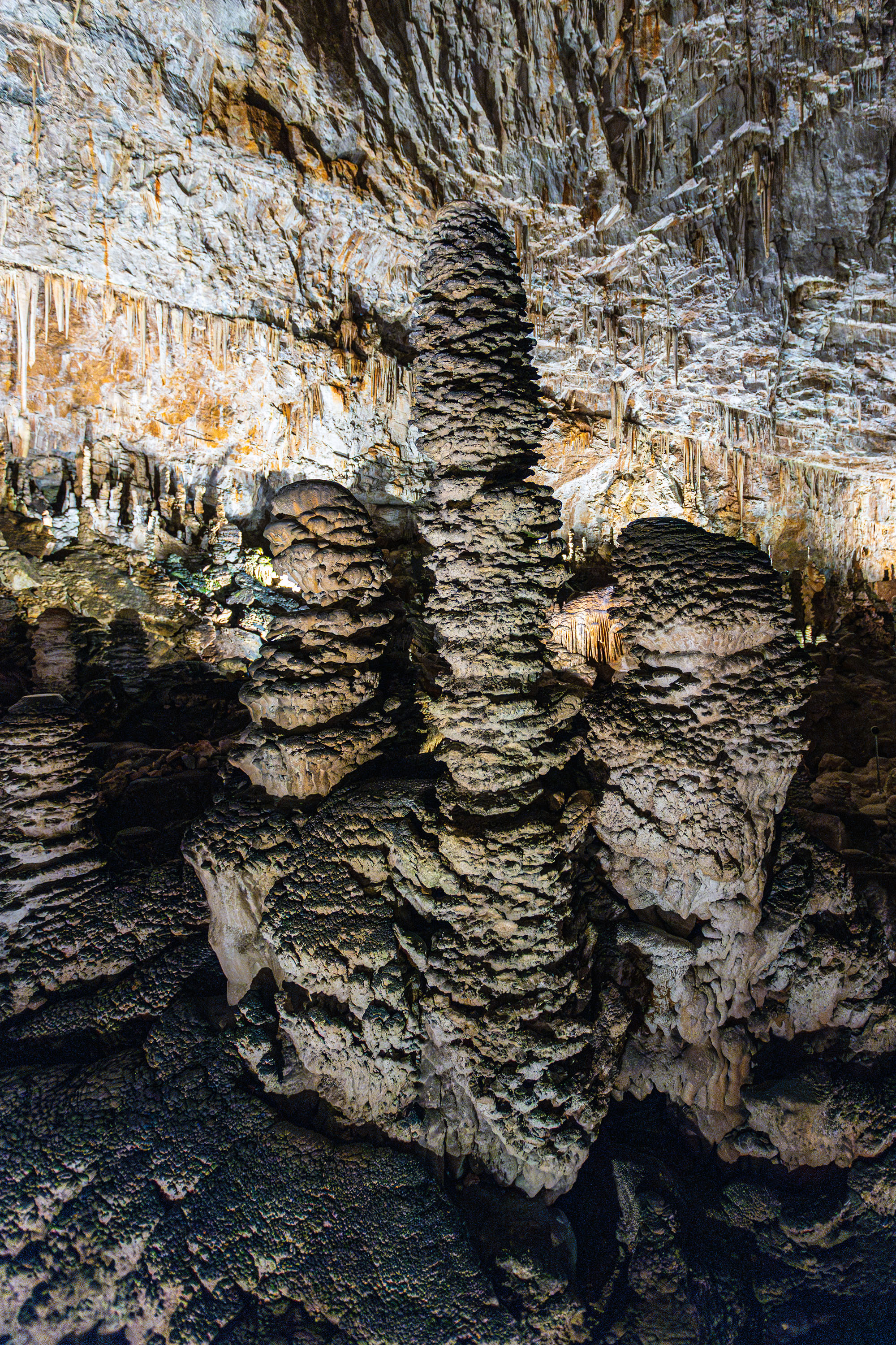 Triest - Grotta Gigante, der weltweit größte Saal
